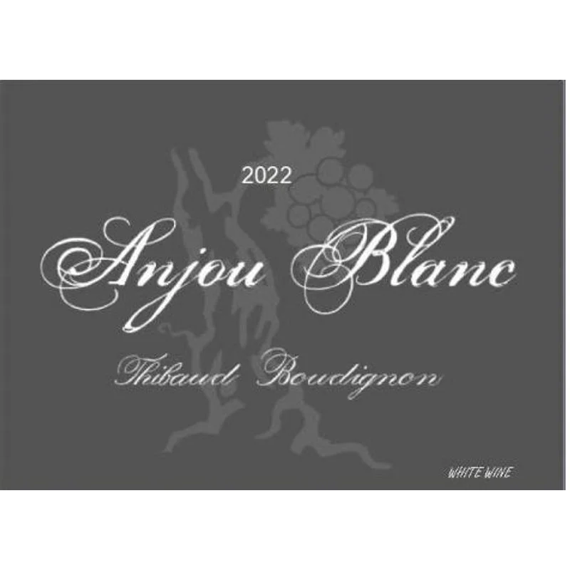 Thibaud Boudignon Anjou Blanc 2024